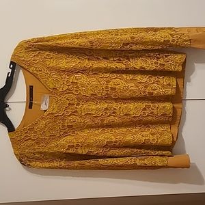 Gold Lace v-neck top